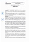 Vista preliminar de documento ACUERDO-113-2024-CM-MDSA