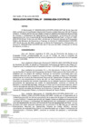 Vista preliminar de documento RD Nº D000092-2024-DE