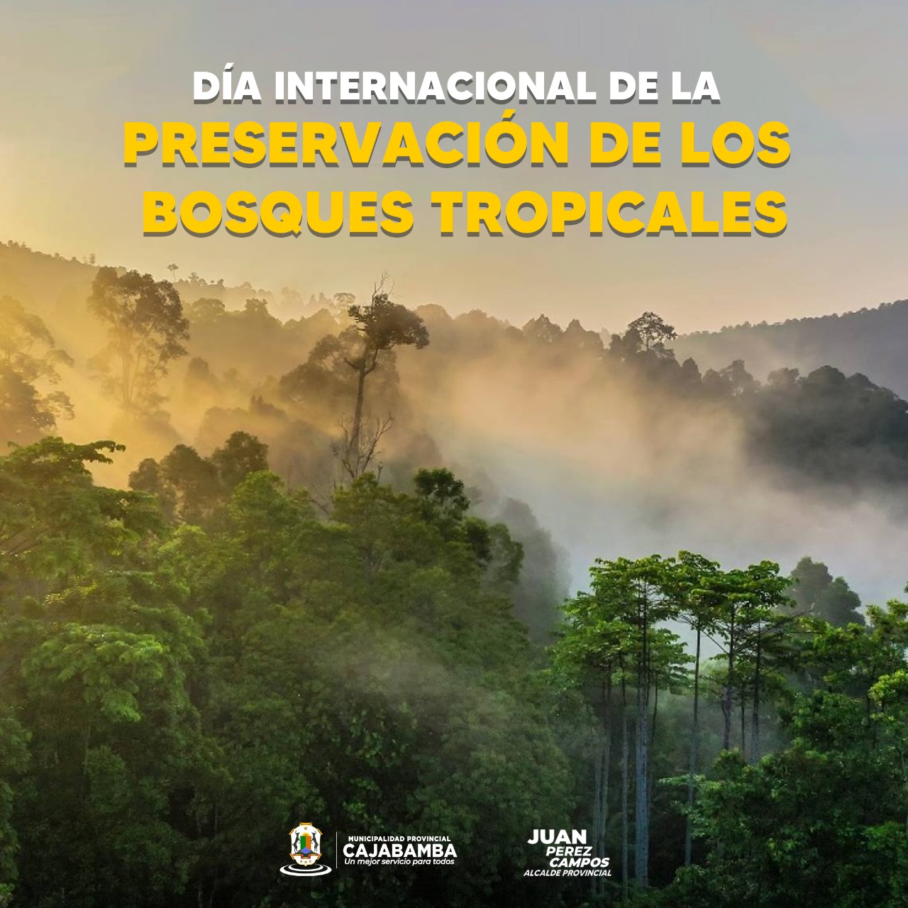 Día internacional de la preservación de los bosques tropicales