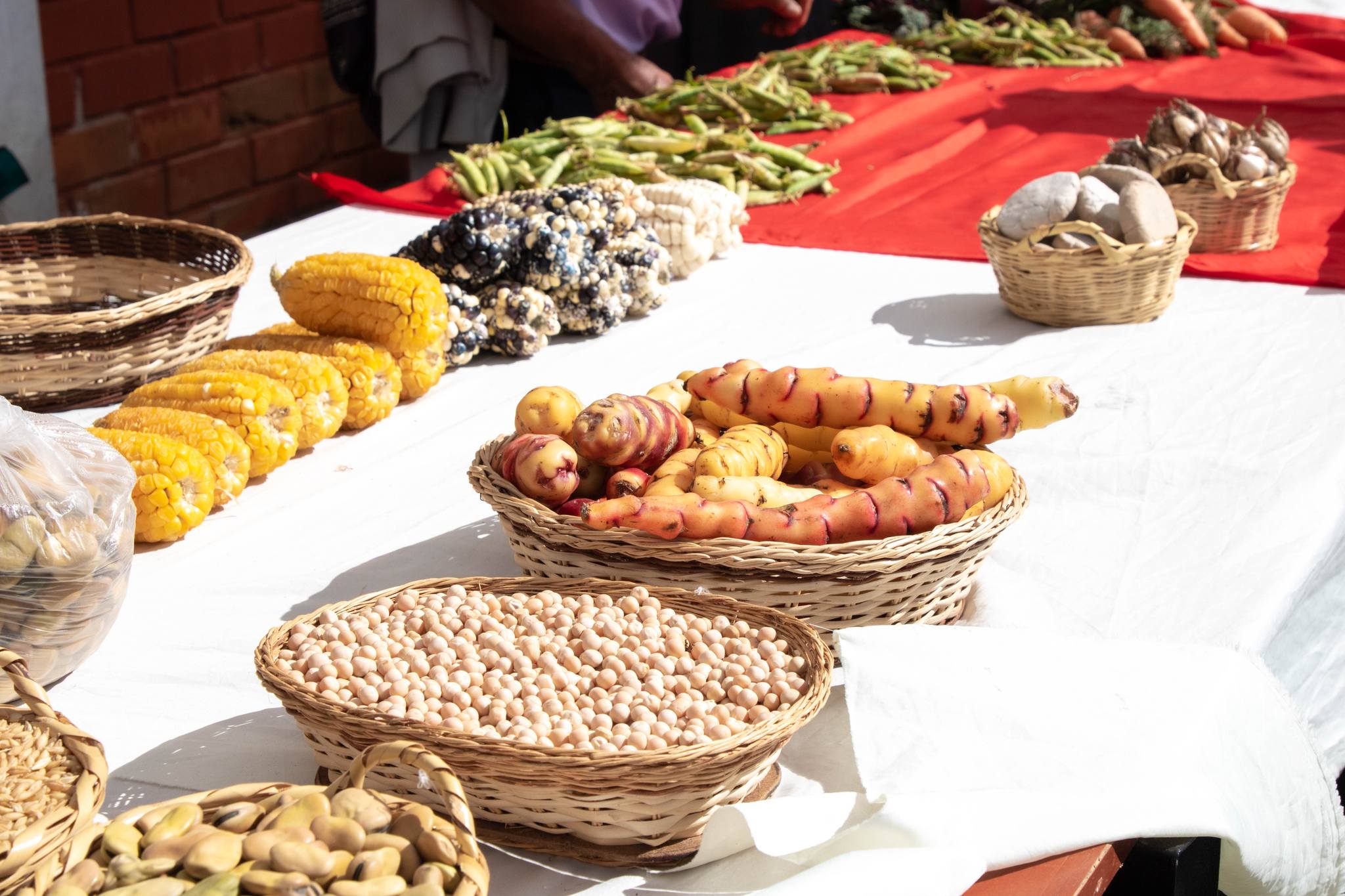 I feria de productores emprendedores