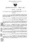 Vista preliminar de documento 5603