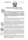 Vista preliminar de documento R.D N° 197-2024-HMA-DG