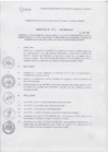 Vista preliminar de documento Directiva Nro 001-2012