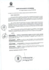 Vista preliminar de documento Decreto De Alcaldía Nro 007-2014
