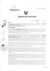 Vista preliminar de documento R.D. N° 515-2024