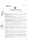 Vista preliminar de documento R.D. N° 516-2024