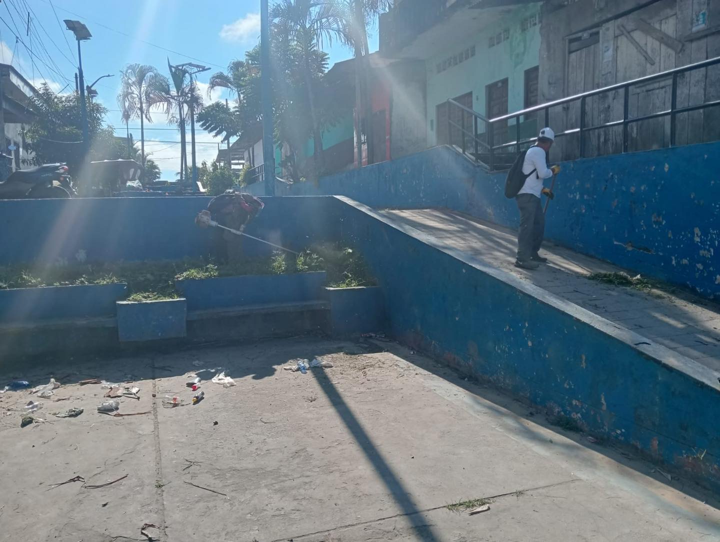 Limpieza y poda de áreas verdes de la Alameda Contamana.