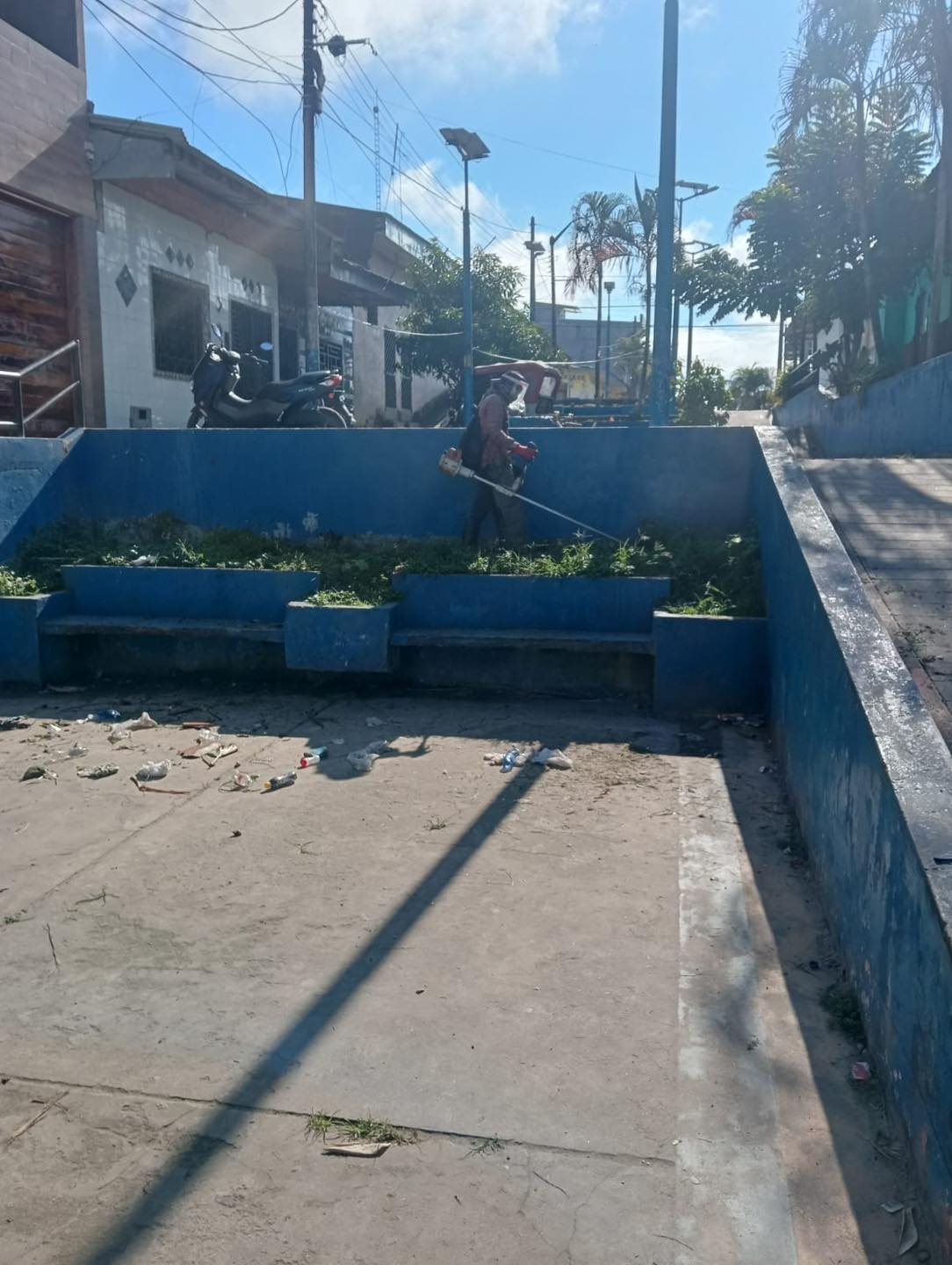 Limpieza y poda de áreas verdes de la Alameda Contamana.