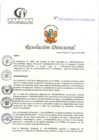Vista preliminar de documento RD N°207-06-2024-DE-HCLLH-MINSA