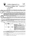 Vista preliminar de documento rer-413-2024-gore-ica-gr