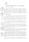 Vista preliminar de documento Resolución de Alcaldía N.° 000029-2024/MDSA