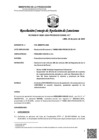 Vista preliminar de documento RCONAS-00081-2024-PRODUCE-CONAS-1CT