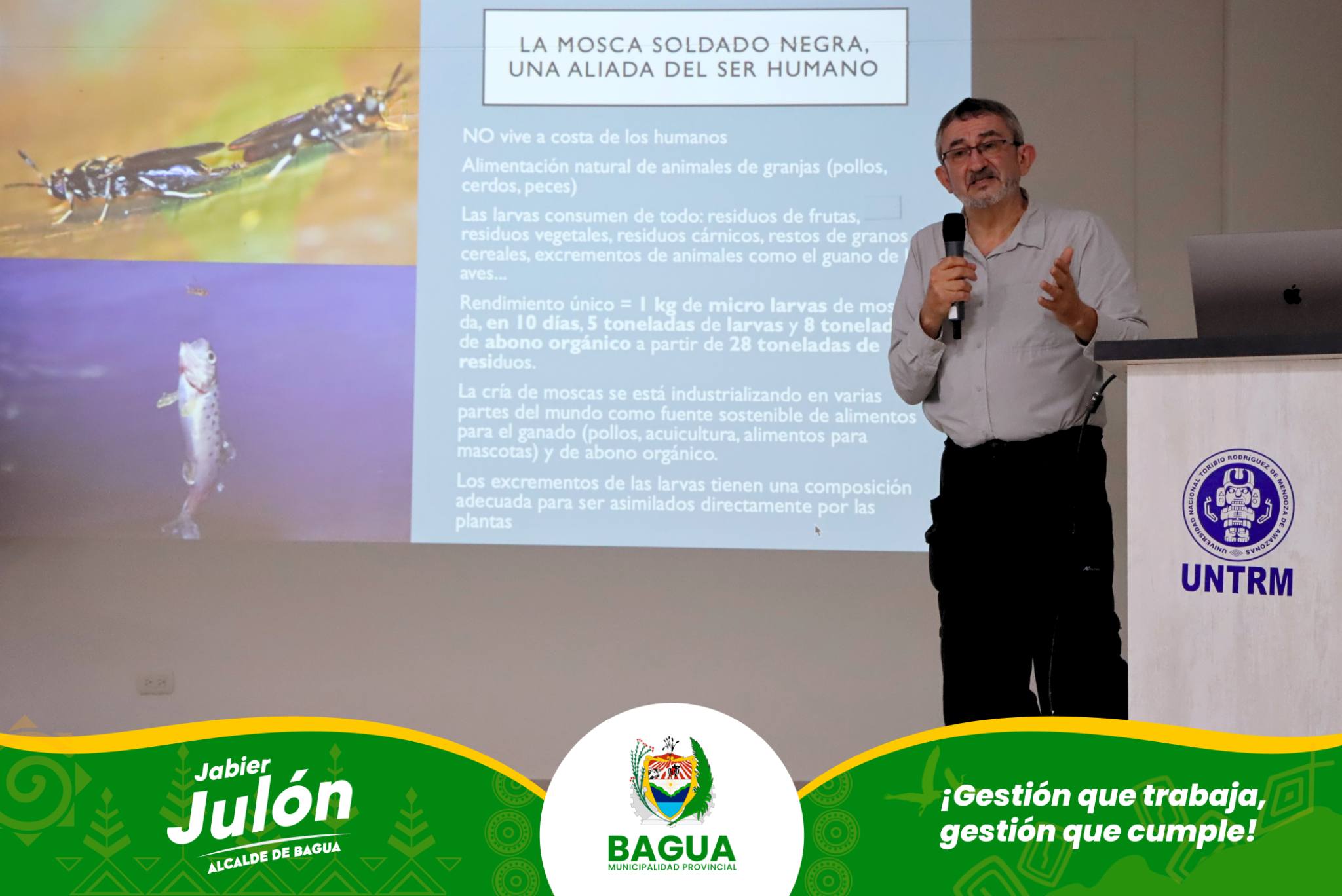 Imagen del Proyecto 𝗟a 𝗠osca 𝗦oldado 𝗡egra Aplicativo Machine Learning E IOT 4