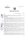 Vista preliminar de documento R.D. N° 522-2024