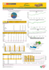 Vista preliminar de documento Boletín de volumen y precio de PAPA - 28/06/2024