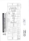 Vista preliminar de documento RESULTADOS FINALES