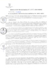 Vista preliminar de documento Resolución de Alcaldía N.° 000041-2024/MDSA
