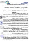 Vista preliminar de documento Resolucion Directoral N° 004002-2024