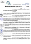 Vista preliminar de documento Resolucion Directoral N° 004009-2024