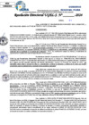 Vista preliminar de documento Resolucion Directoral N° 004010-2024