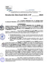 Vista preliminar de documento Resolucion Directoral N° 004011-2024