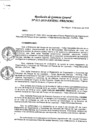 Vista preliminar de documento Resolución de Direccion Ejecutiva N°013-2019-PATPAL-FBB-MML