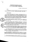 Vista preliminar de documento Resolución de Direccion Ejecutiva N°017-2019-PATPAL-FBB-MML