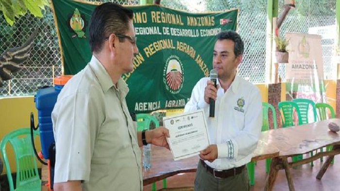 CACAO REGIONAL 3