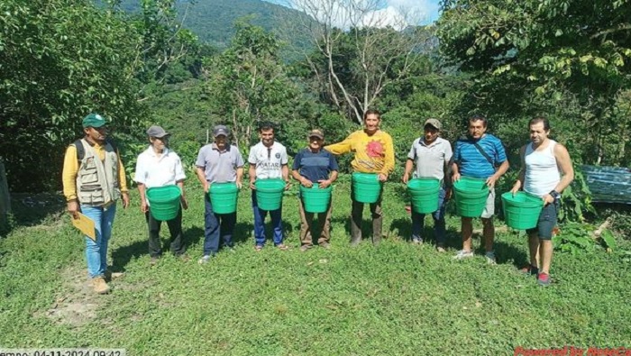 II PROY BAGUA MENDOZA 3