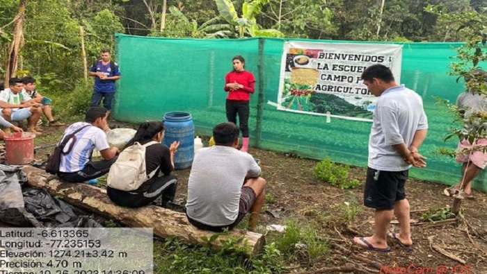 II PROY BAGUA MENDOZA 4