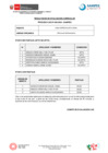 Vista preliminar de documento Resultados Curriculares- CAS N° 029-2024