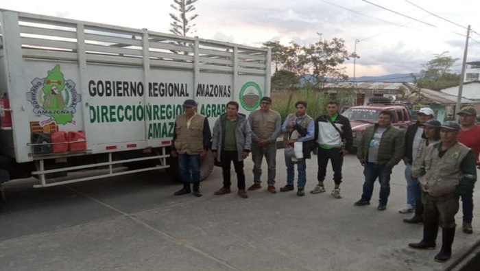 REFORESTACIÓN MÍLPUC 3