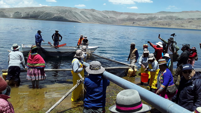 Arequipa_Crianza deTruchas