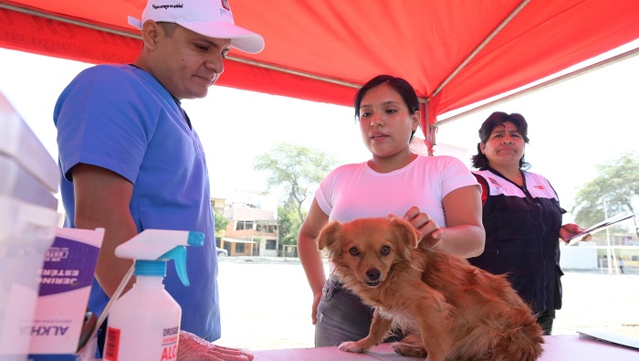Veterinaria