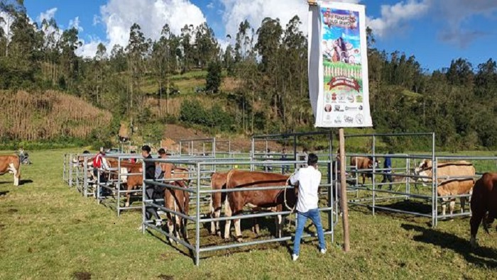 CLAUSURA JALCA 2