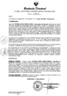 Vista preliminar de documento RESOLUCION DIRECTORAL N° 095-2024