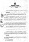 Vista preliminar de documento RESOLUCION DIRECTORAL N° 101-2024