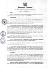 Vista preliminar de documento RESOLUCION DIRECTORAL N° 131-2024