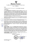 Vista preliminar de documento RESOLUCION DIRECTORAL N° 133-2024