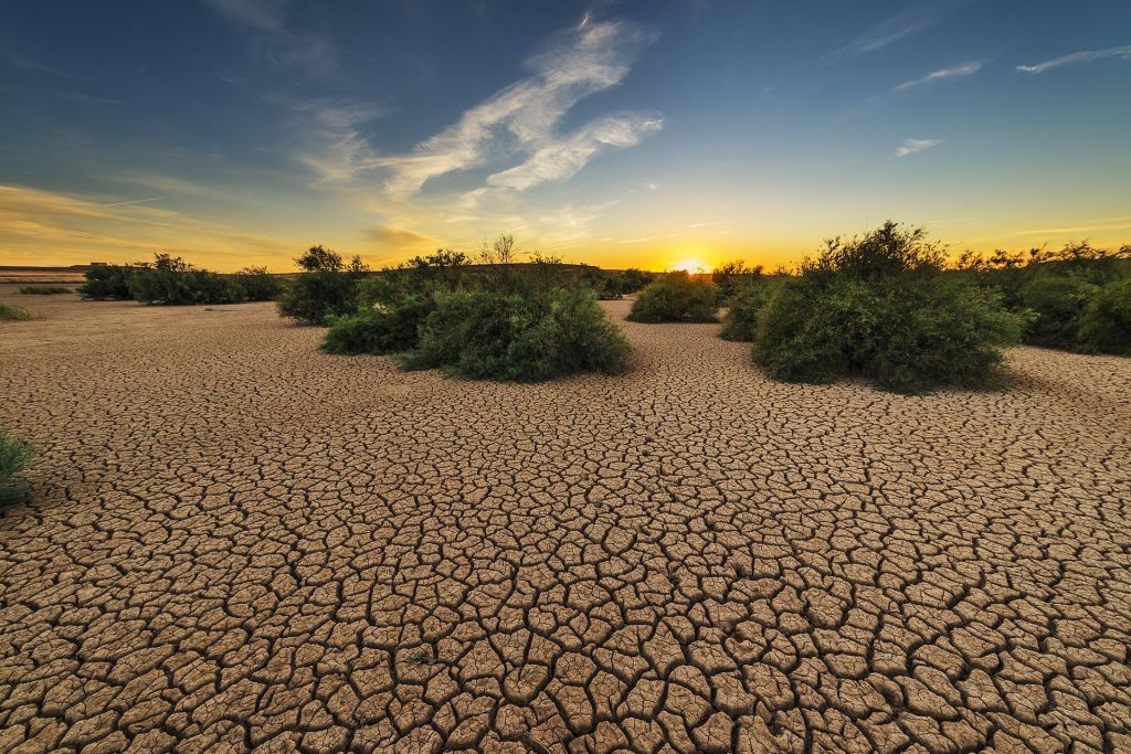 Nuestras tierras. Nuestro futuro. Somos la Generación Restauración.