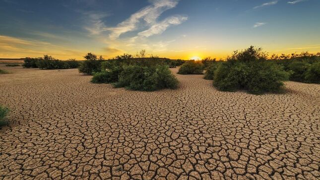 Nuestras tierras. Nuestro futuro. Somos la Generación Restauración.