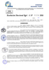Vista preliminar de documento Resolucion Directoral N° 004023-2024