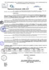 Vista preliminar de documento Resolucion Directoral N° 004028-2024