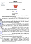 Vista preliminar de documento Resolucion Directoral N° 004036-2024