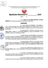 Vista preliminar de documento Resolucion Directoral N° 004040-2024