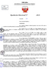 Vista preliminar de documento Resolucion Directoral N° 004047-2024