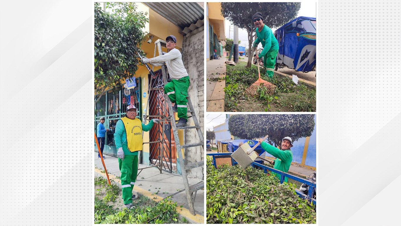 Comprometidos con nuestras รกreas verdes