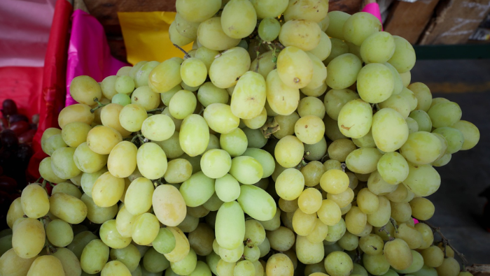 Se reportó el ingreso de más de 8 mil toneladas de productos entre frutas y verduras