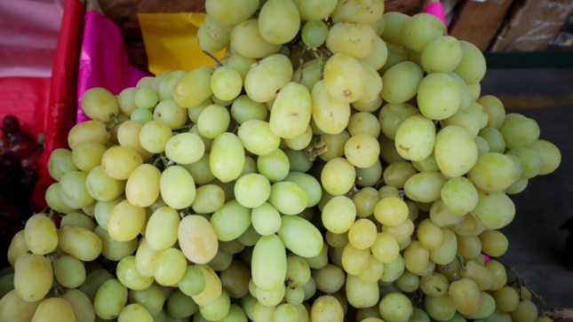 Se reportó el ingreso de más de 8 mil toneladas de productos entre frutas y verduras