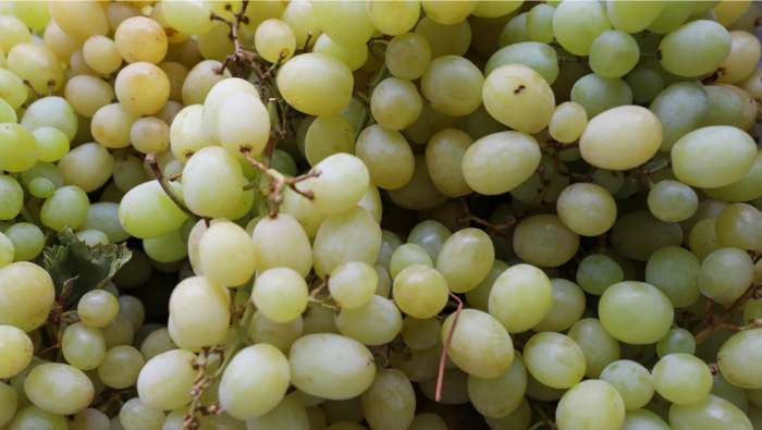 Se reportó el ingreso de más de 8 mil toneladas de productos entre frutas y verduras